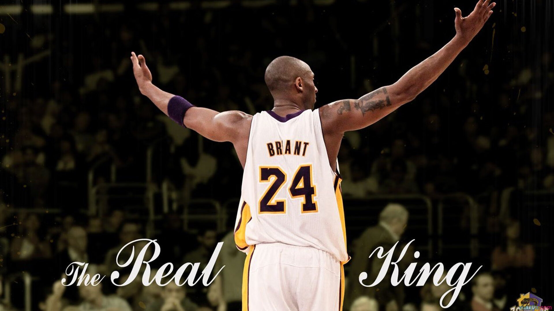 NBA赛季MVP候选人介绍，nba每届mvp